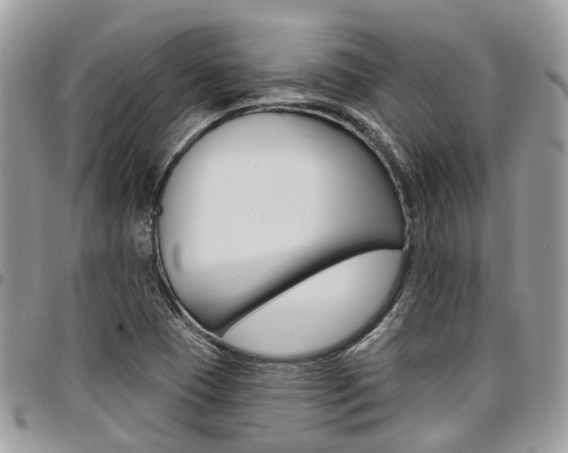 X0000096971409200802080912