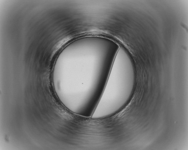 X0000096971410200802080912