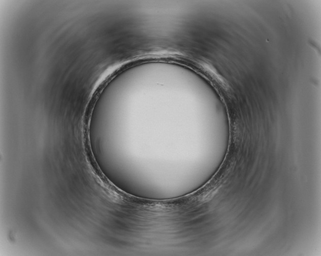 X0000096971412200802080912