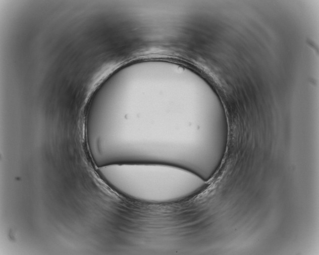 X0000096971413200802080912