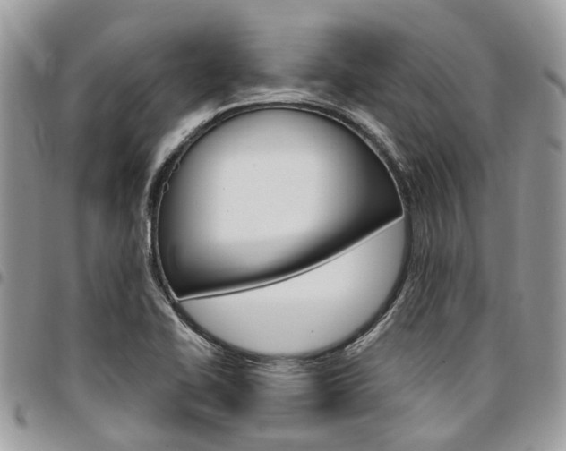 X0000096971414200802080912