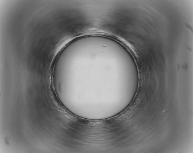 X0000096971415200802080912
