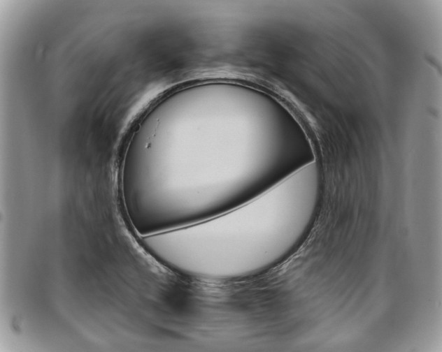 X0000096971416200802080912