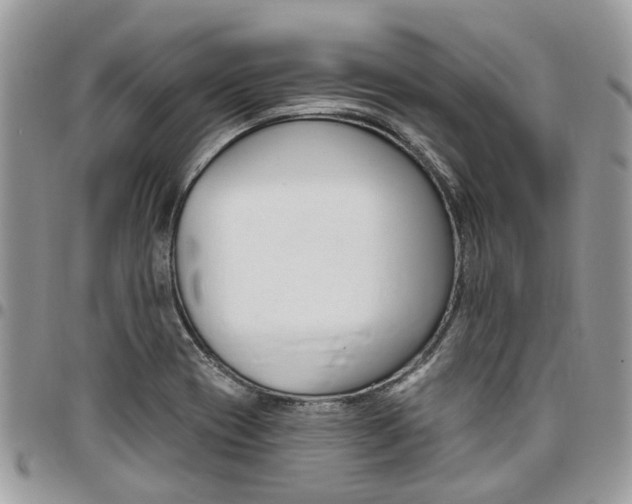 X0000096971417200802080913
