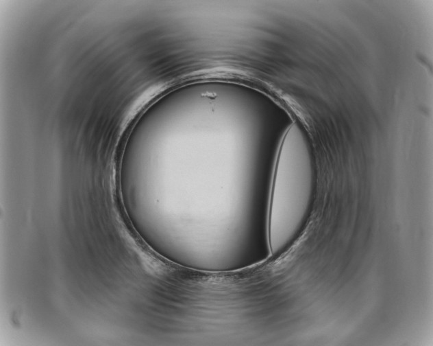X0000096971418200802080913
