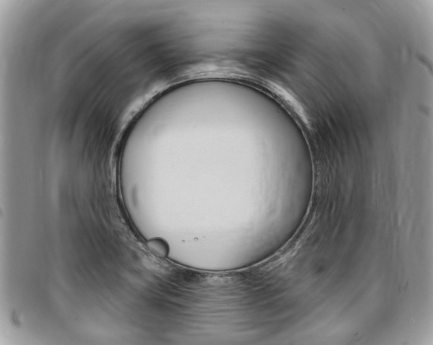 X0000096971419200802080913