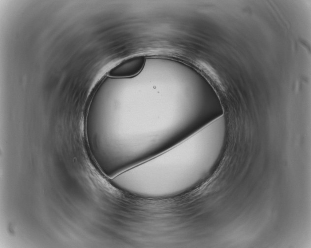 X0000096971420200802080913