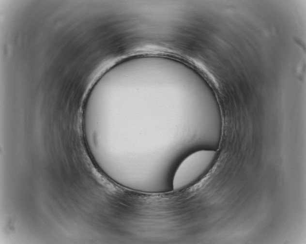 X0000096971421200802080913