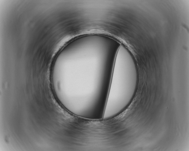 X0000096971422200802080913