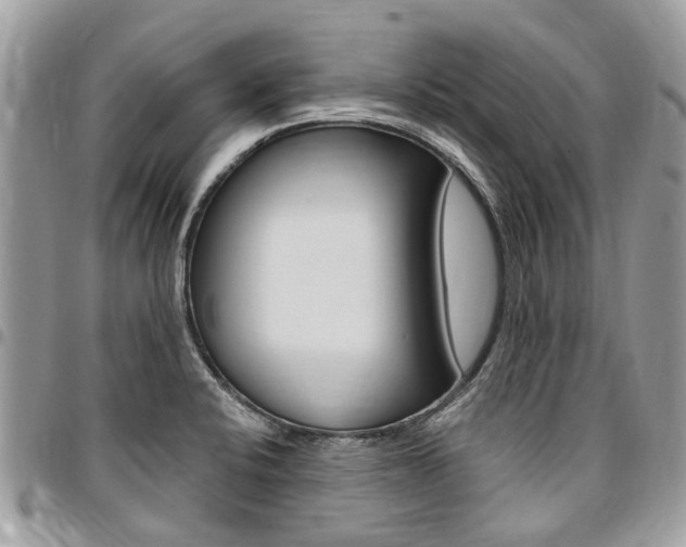 X0000096971424200802080913