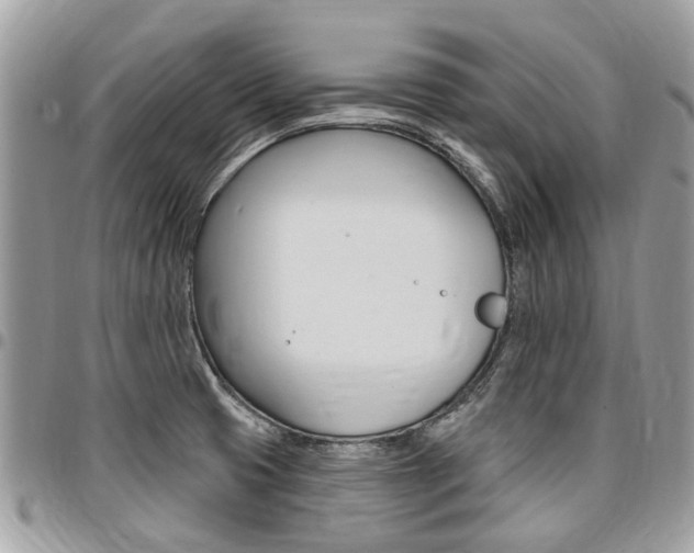 X0000096971425200802080913