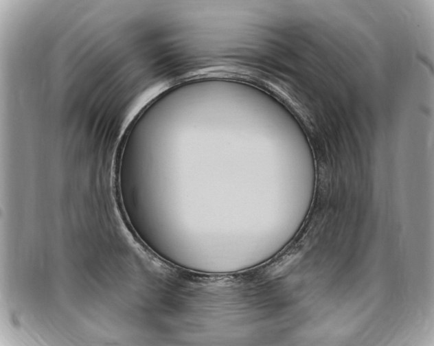 X0000096971426200802080913