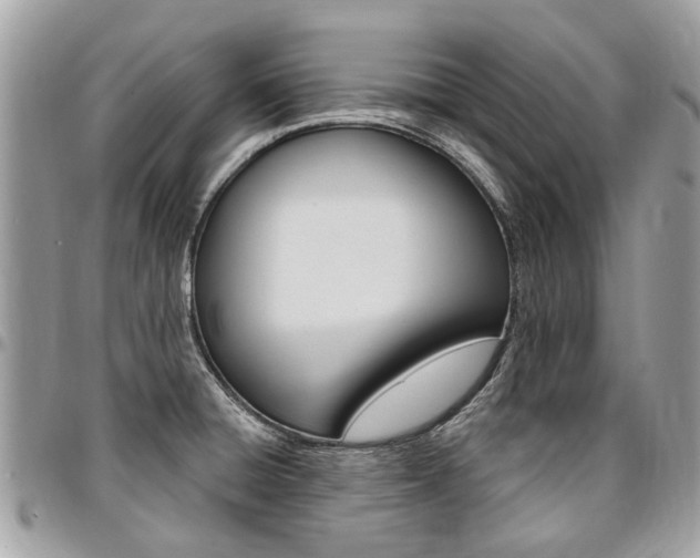 X0000096971428200802080913