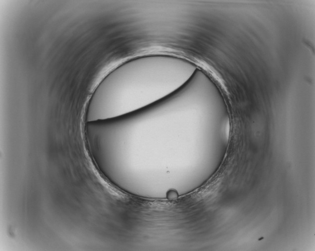 X0000096971429200802080913