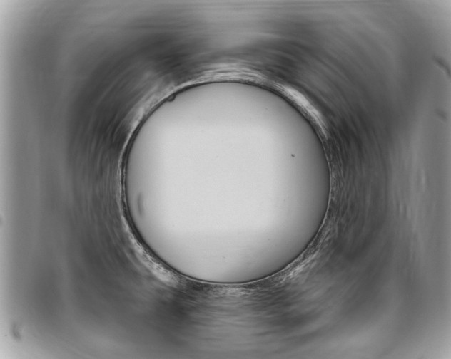 X0000096971431200802080913