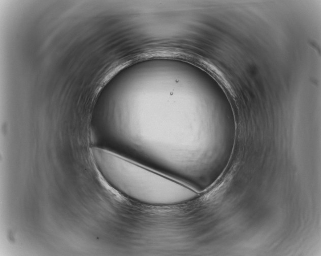X0000096971433200802080913