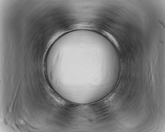 X0000096971435200802080913