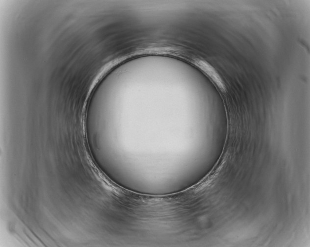 X0000096971436200802080913