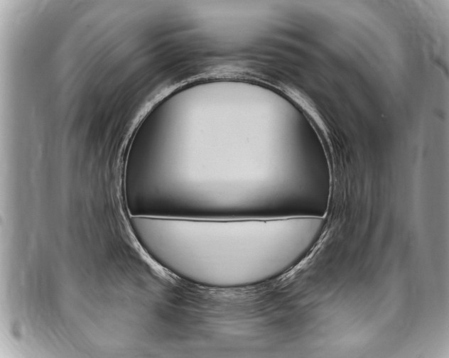 X0000096971437200802080913