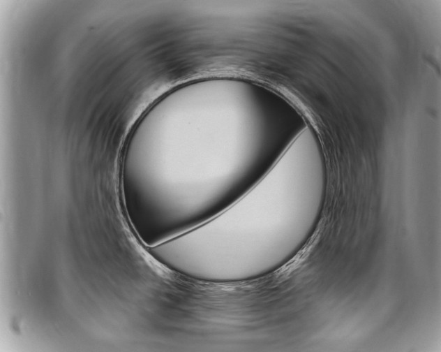 X0000096971438200802080913