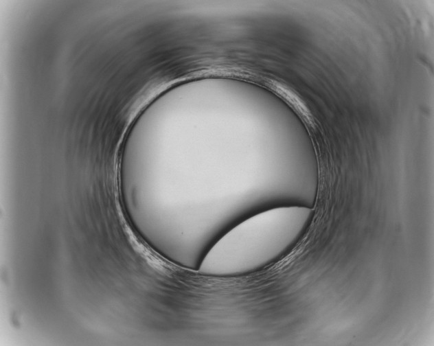 X0000096971439200802080913