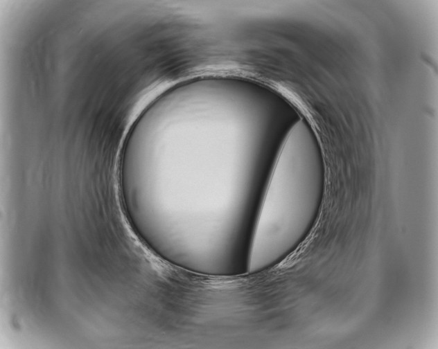 X0000096971440200802080913