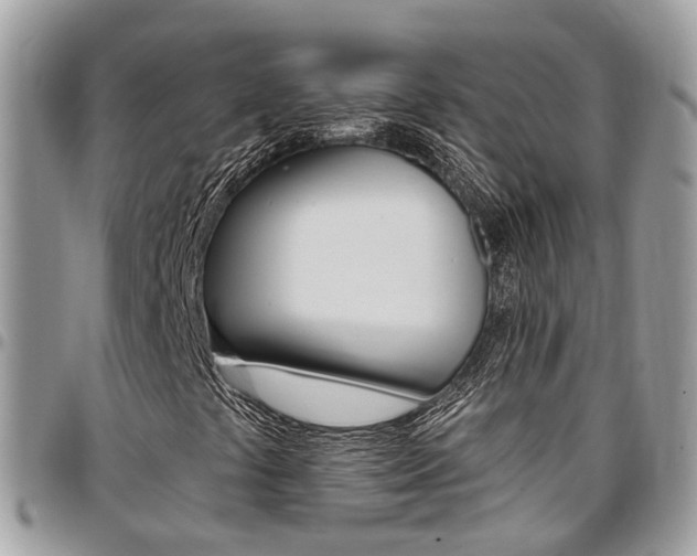 X0000096971441200802080912