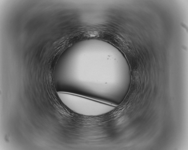 X0000096971442200802080912
