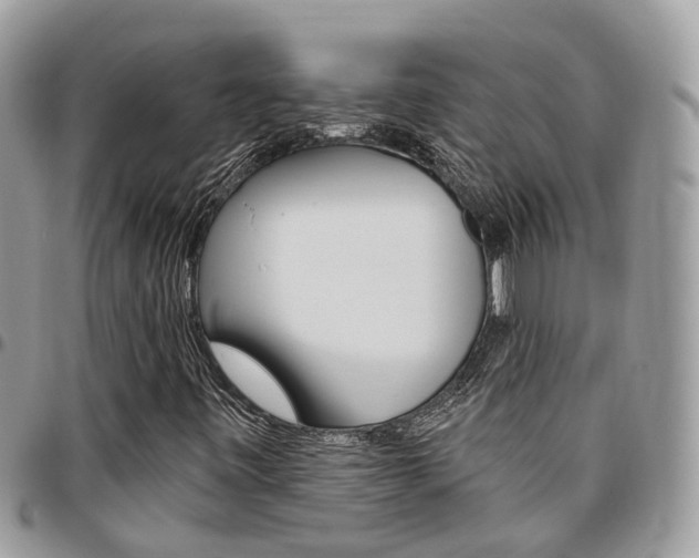X0000096971443200802080912