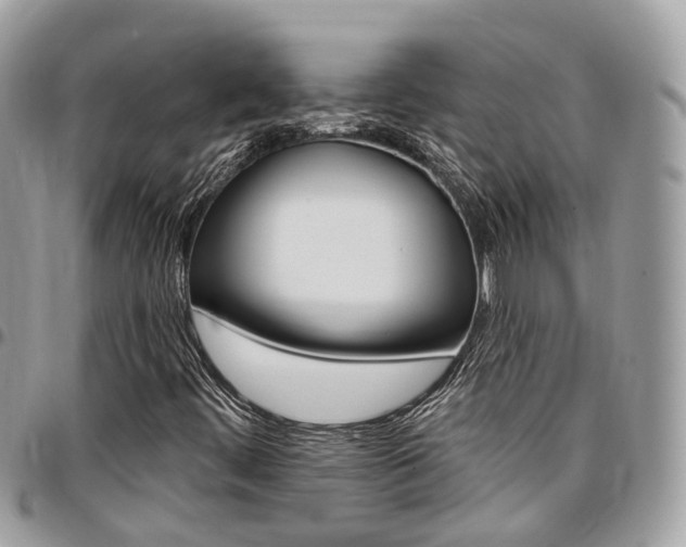 X0000096971444200802080912