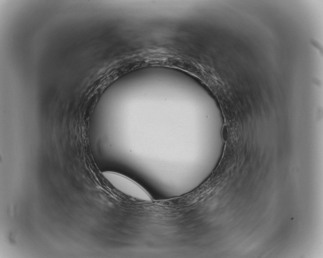 X0000096971445200802080912