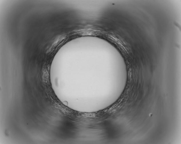 X0000096971446200802080912