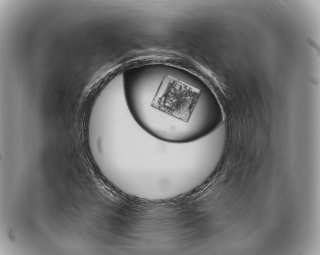 X0000096971448200802080912