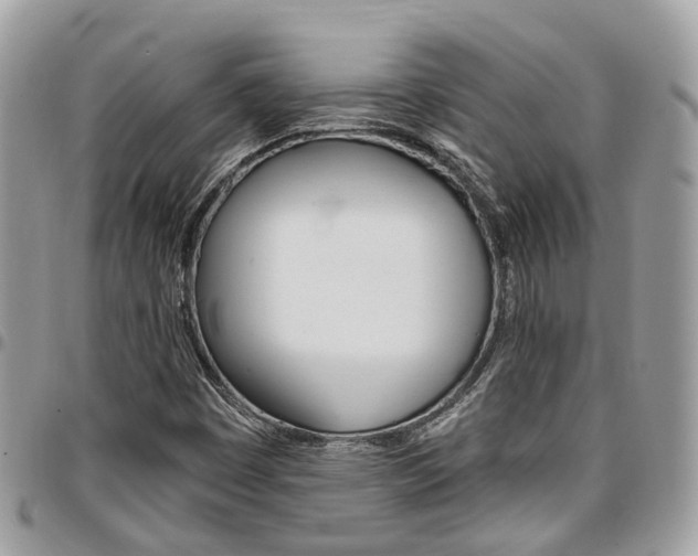 X0000096971449200802080912