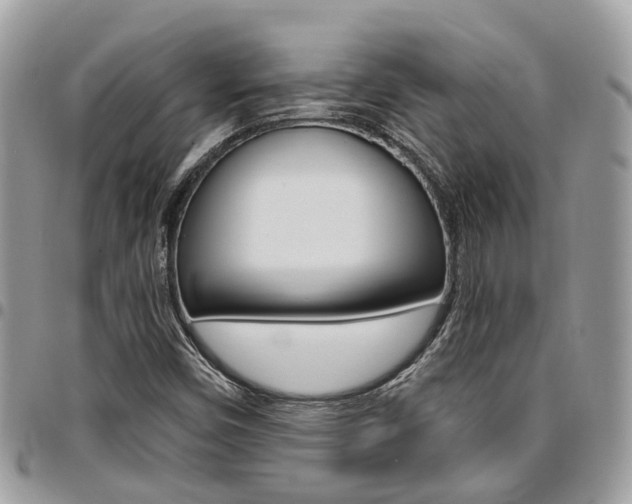 X0000096971450200802080912