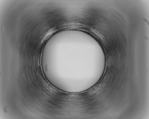 X0000096971451200802080912