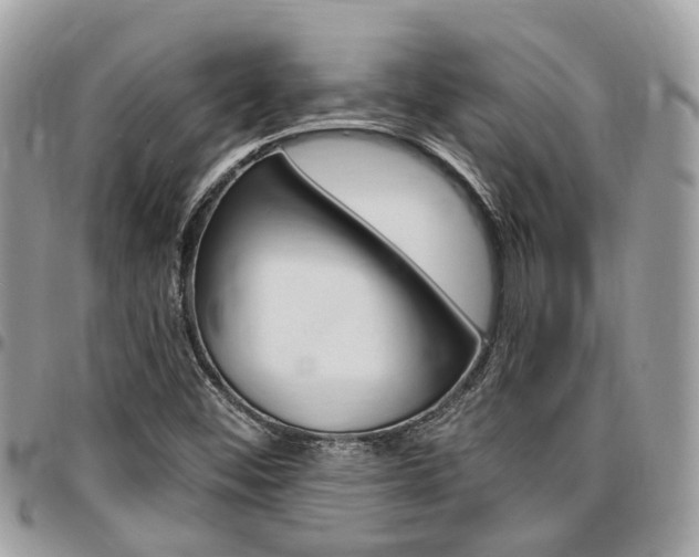 X0000096971452200802080912