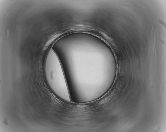 X0000096971453200802080912