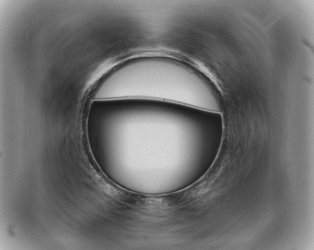 X0000096971456200802080912