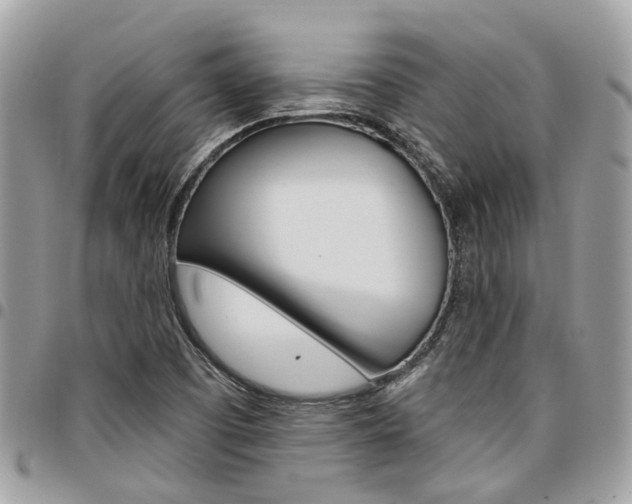 X0000096971457200802080912