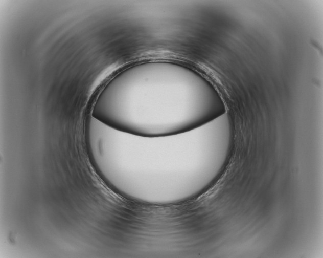 X0000096971458200802080912
