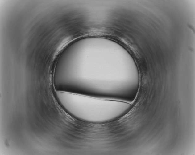 X0000096971459200802080912