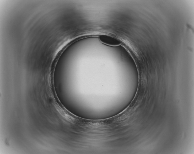 X0000096971460200802080912