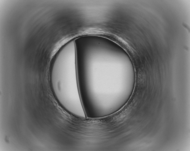 X0000096971461200802080912