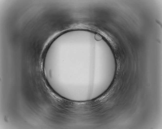 X0000096971462200802080912