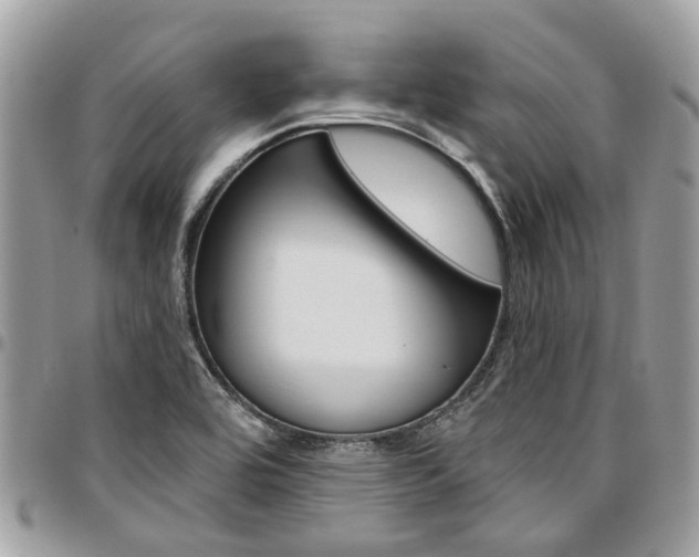 X0000096971464200802080912