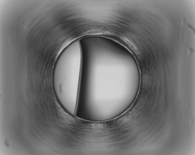 X0000096971465200802080912