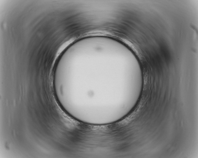 X0000096971466200802080912