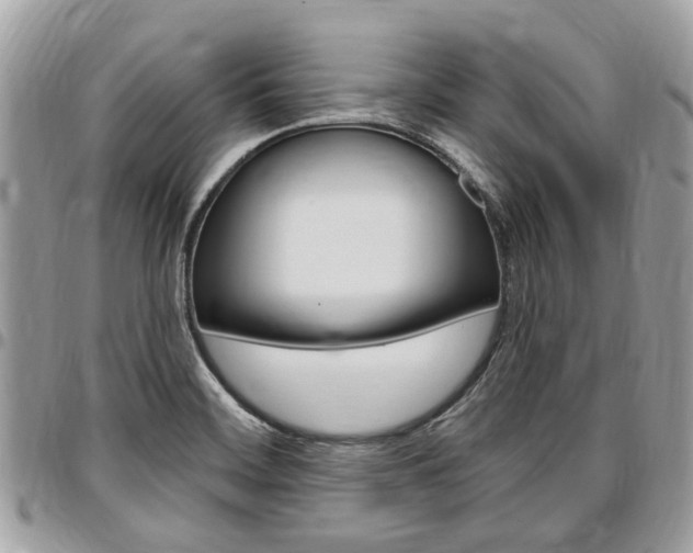 X0000096971468200802080912