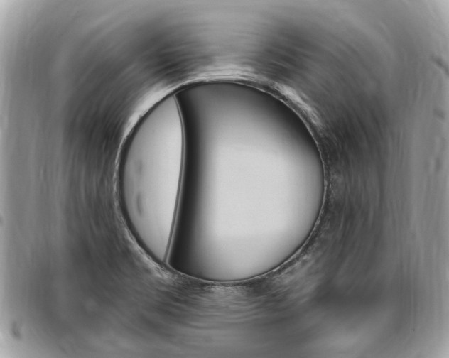 X0000096971469200802080912